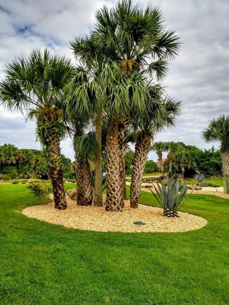 Gravel Landscape Divider preview 2